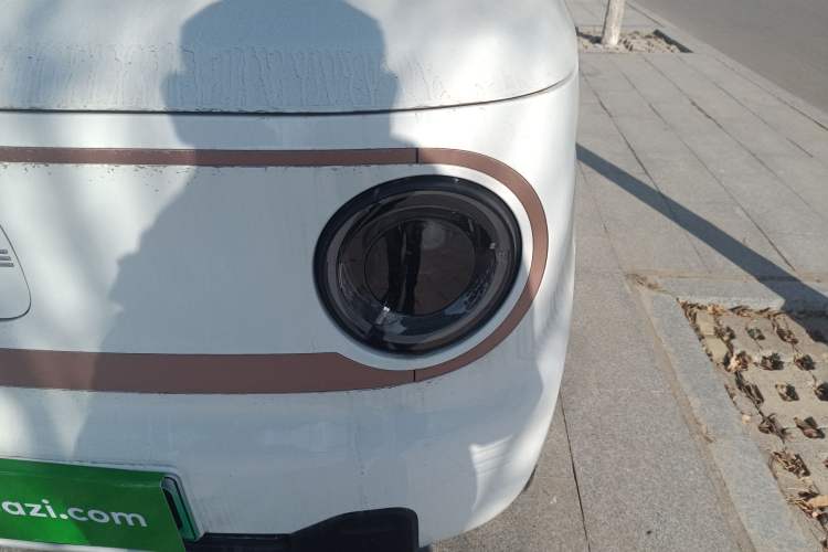 Used  Panda 2024 Panda Mini 200km Endurance Bear