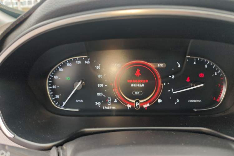 Used  TX 2021 Classic Edition 1.6T Four-Wheel Drive Star Enjoy Version