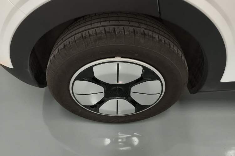 Used  Geome 2025 310km Youth Edition
