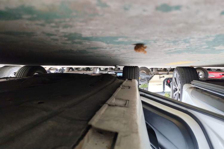 Used Honda Civic 2019 220TURBO CVT Dynamic Edition China V
