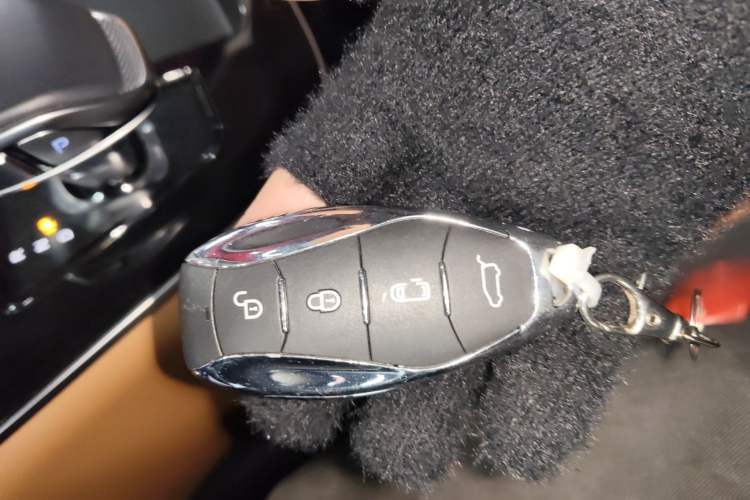 Used Hongqi HQ9 PHEV 2024 2.0T Four-Wheel Drive Business Edition