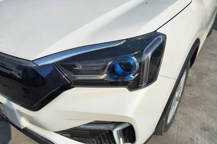 Used Venucia T60EV 2020 AI Enjoyment Model
