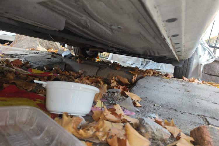 Used Nissan Sunny 2015 1.5XE CVT Comfort Edition