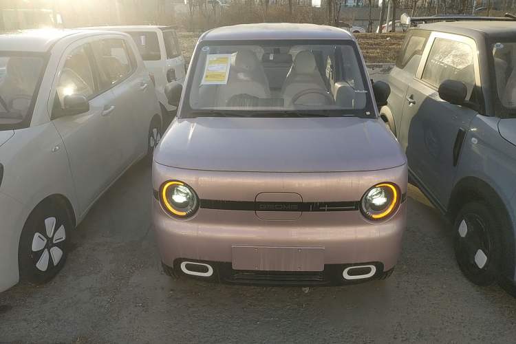 Used  Panda 2025 210 km – Yuanqi Bear