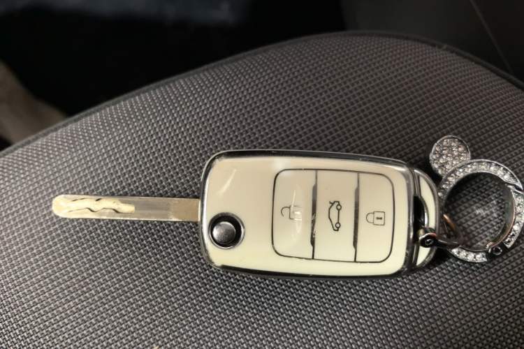 Used  Lumin 2024 130km Qingyue Version
