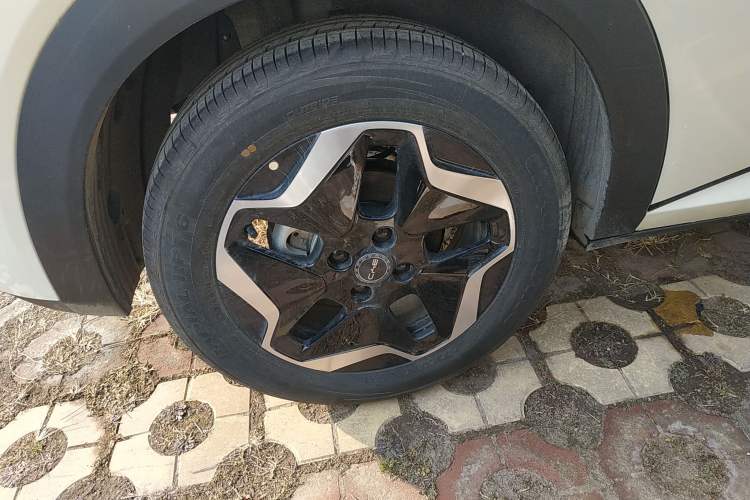 Used BYD Dolphin 2025 Smart Drive Version 420 km Freedom Edition
