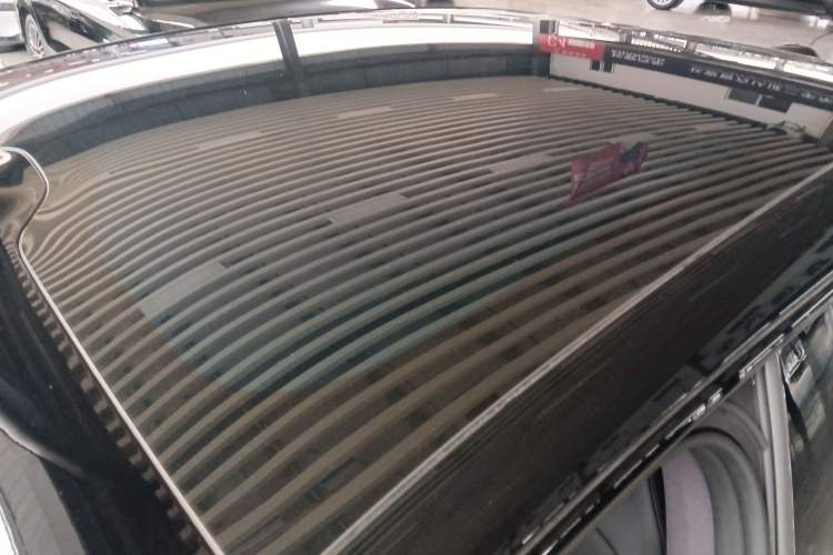 Used  06 2025 Ultra Pure Electric Edition
