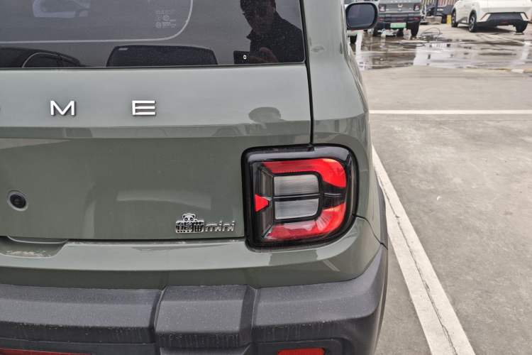 Used  Panda 2024 200km Panda Rider