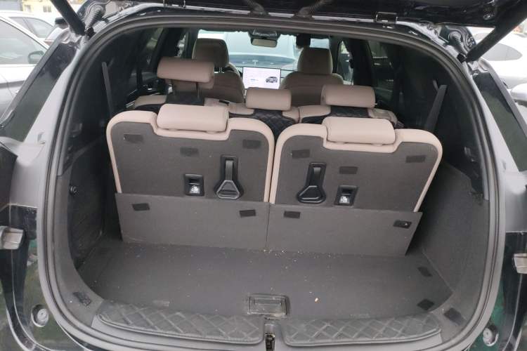 Used BYD Tang New Energy 2024 DM-i Champion Edition 200KM Deluxe Model