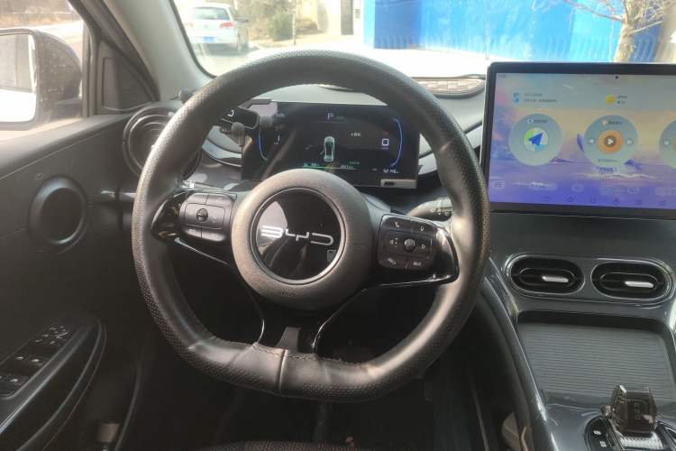 Used BYD e2 2023 Luxury Model