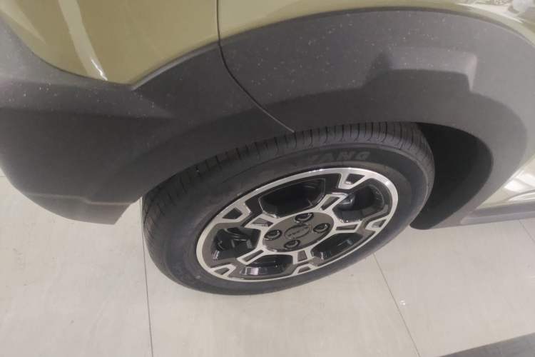 Used  Panda 2025 210km Panda Rider