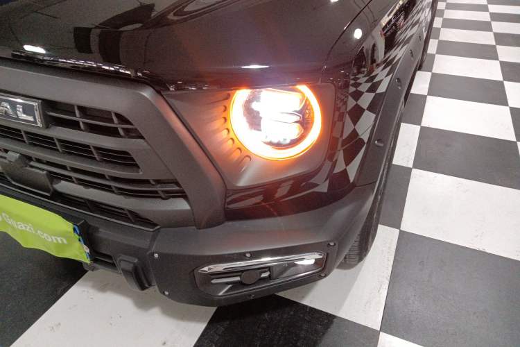 Used Haval DARGO 2024 2.0T DCT Chinese Rural Dog Edition
