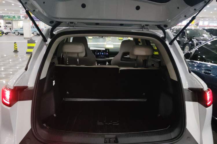 Used BYD Yuan UP 2024 401KM Leading Edition
