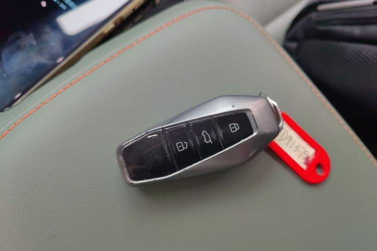 Used  03 2024 501km Four-wheel Drive Long-Range Advanced Version
