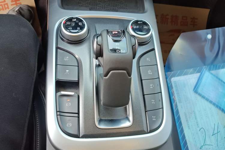 Used Tank 300 2024 2.0T Conqueror
