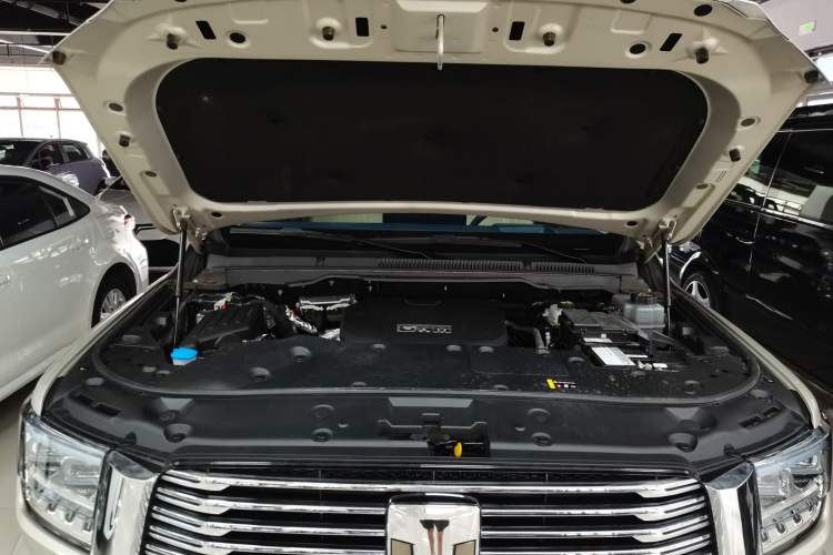 Used Tank 500 New Energy 2023 Hi4-T
