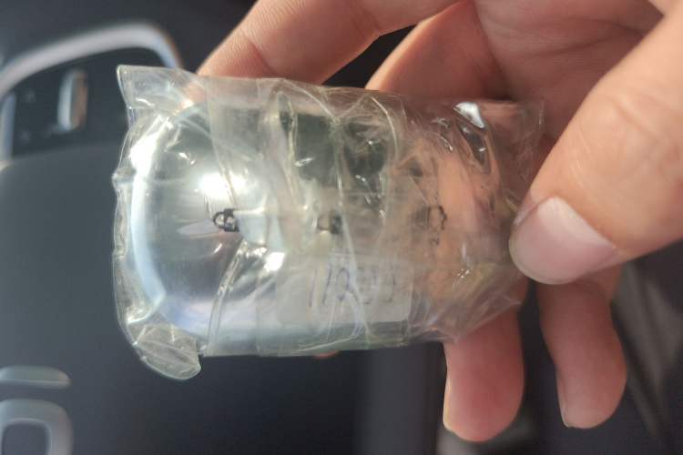 Used  A07 2025 Range-Extended "Truly Delicious" 140 Elite Version
