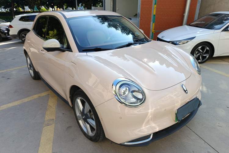 Used ORA Good Cat 2021 400km Standard Range Athena Edition Lithium-Ion Battery
