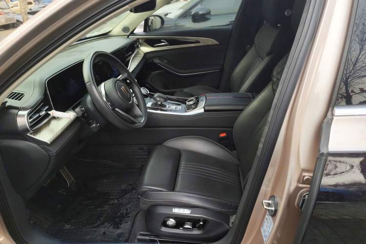 Used Hongqi H9 2020 3.0T Smart Connect Flagship Four-Seat Version