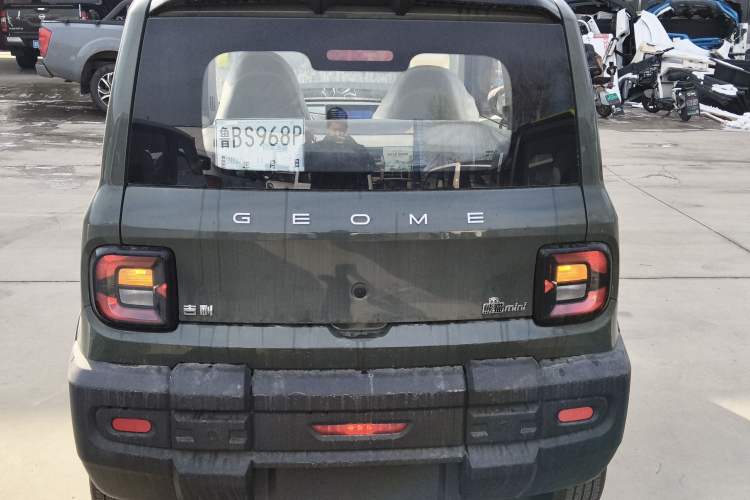 Used  Panda 2025 210km Panda Rider