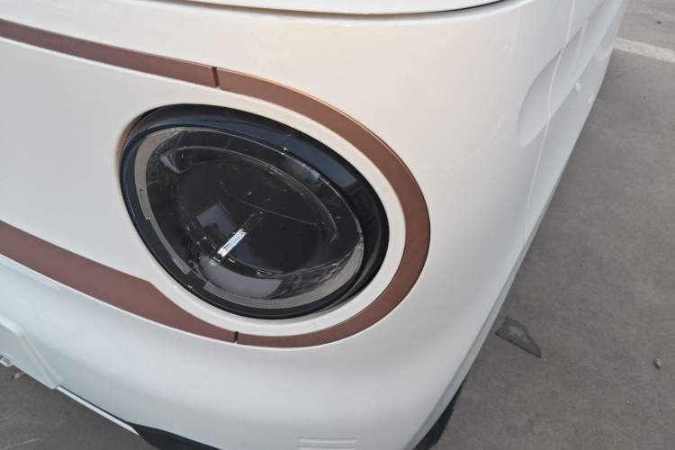 Used  Panda 2024 Panda Mini 200km Endurance Bear
