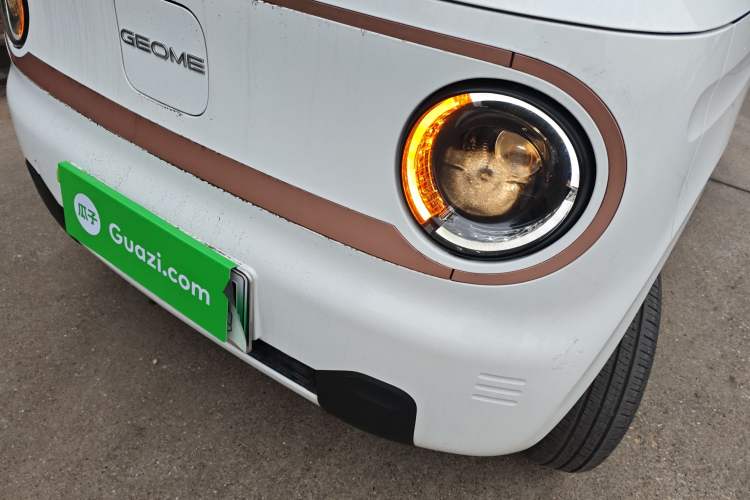 Used  Panda 2024 Panda Mini 200km Endurance Bear