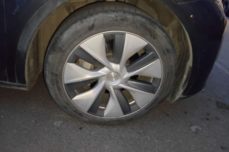 Used Tesla Model Y 2022 Long-Range All-Wheel-Drive Version