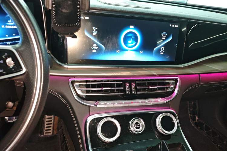 Used Hongqi H9 2020 2.0T Smart Connect Flagship Edition