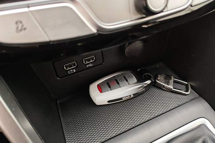 Used Great Wall Poer 2021 2.0T Commercial Version Manual Diesel Two-Wheel Drive Elite Long-Box GW4D20M