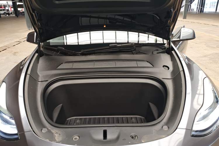 Used Tesla Model Y 2021 Standard Range Rear-Wheel Drive Version
