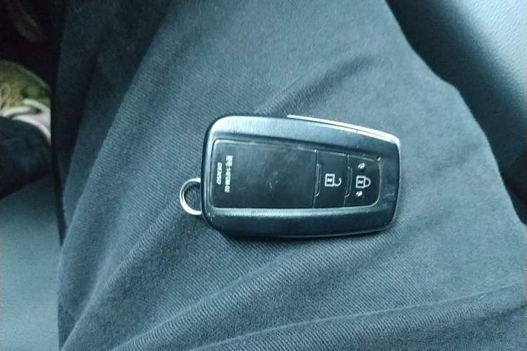 Used Toyota Wildlander 2020 2.0L CVT Two-Wheel Drive Luxury Edition