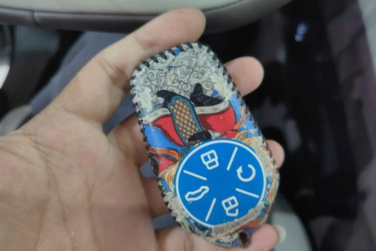 Used  Stellar C-DM 2024 1.5T Long-Range Pro
