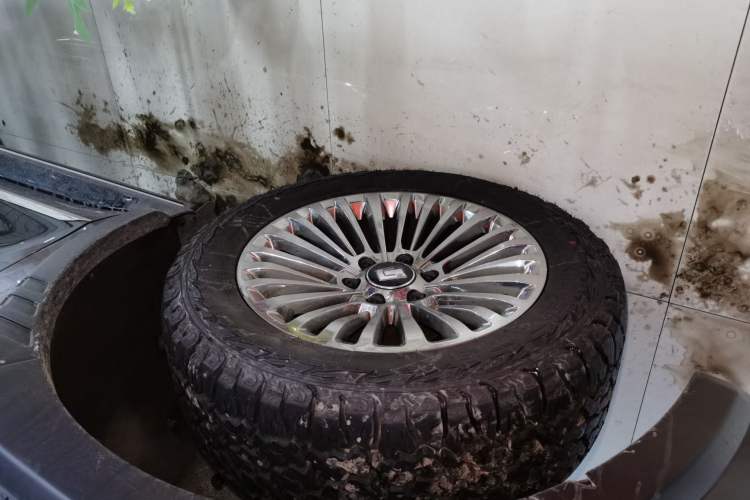 Used Tank 500 New Energy 2023 Hi4-T
