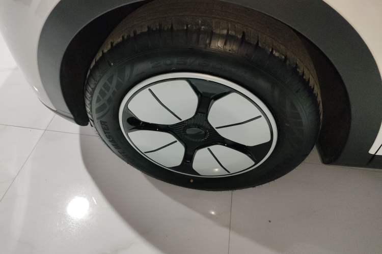 Used  Geome 2025 310km Youth Edition