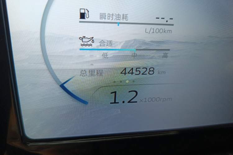 Used Geely Auto Monjaro L 2021 2.0TD DCT EVO Two-Wheel Drive Prestige Version
