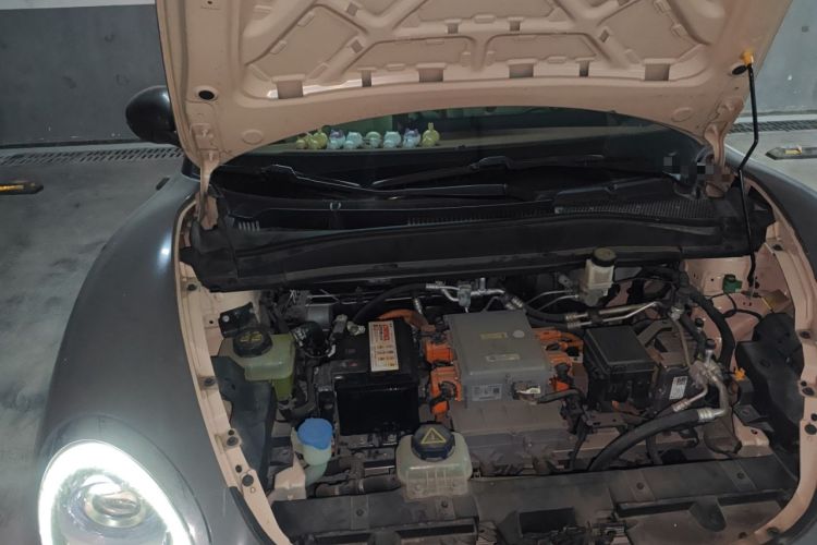 Used ORA Good Cat 2021 500km Long-Range Poseidon Edition Lithium-Ion Battery
