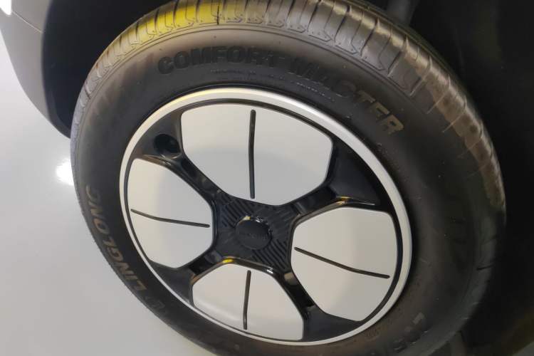 Used  Geome 2025 310km Youth Edition