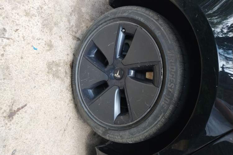 Used Tesla Model 3 2021 Standard Range Rear-Wheel Drive Upgraded Version 3D6
