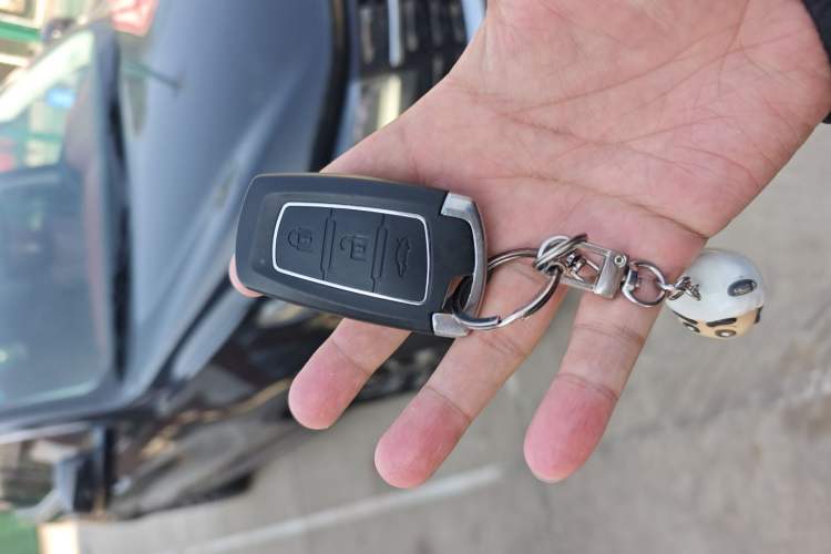 Used FORTHING T5 2018 300T DCT Smart Version