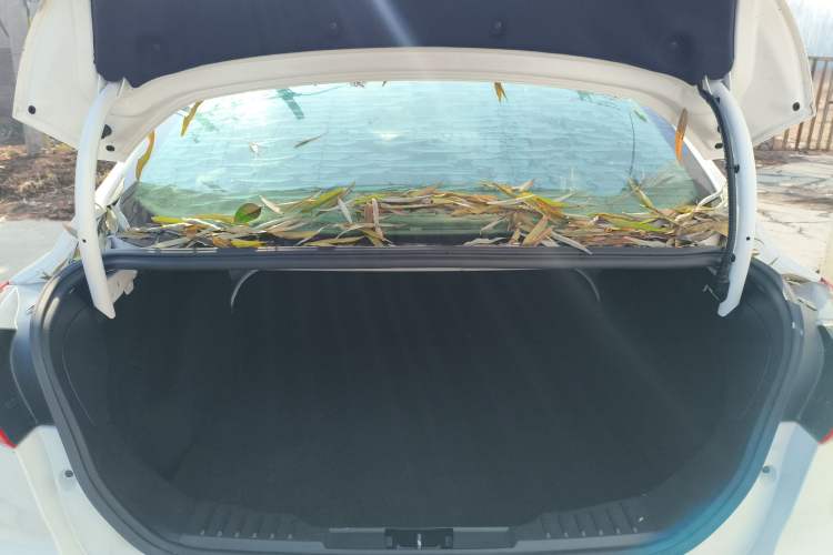 Used Ford Focus 2017 Sedan 1.6L Automatic Comfort Plus SmartDrive Edition