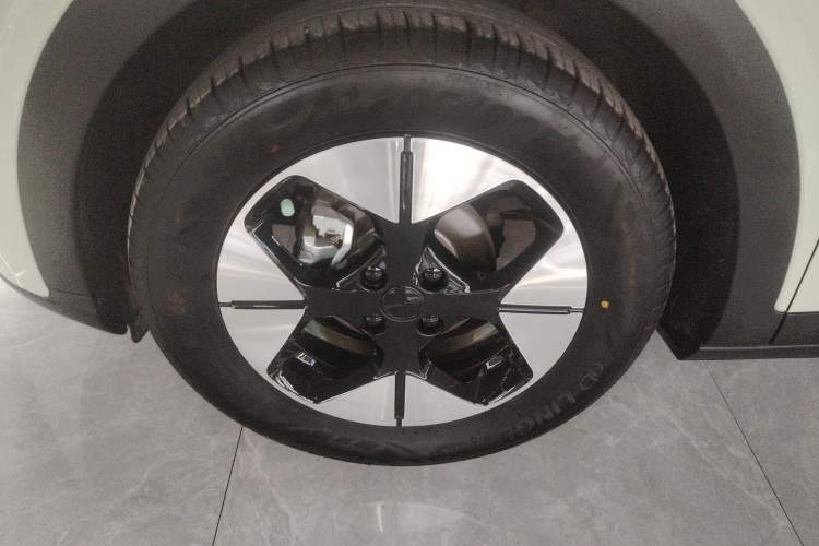 Used  Geome 2025 310km Dream Edition
