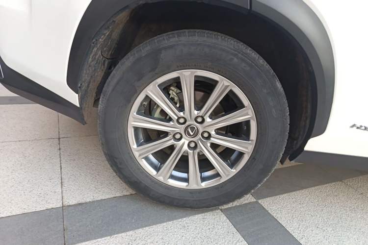 Used Lexus NX 2020 300h Front-Drive FENGSHANG Version China VI Standard