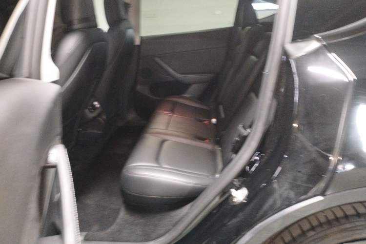 Used Tesla Model Y 2021 Standard Range Rear-Wheel Drive Version
