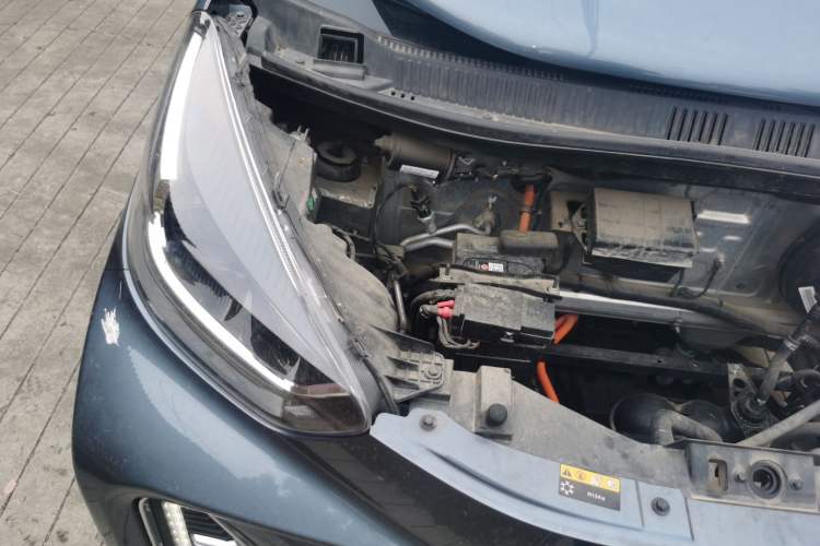 Used Chery Little Ant 2023 301km True Love Plus Version Lithium Iron Phosphate
