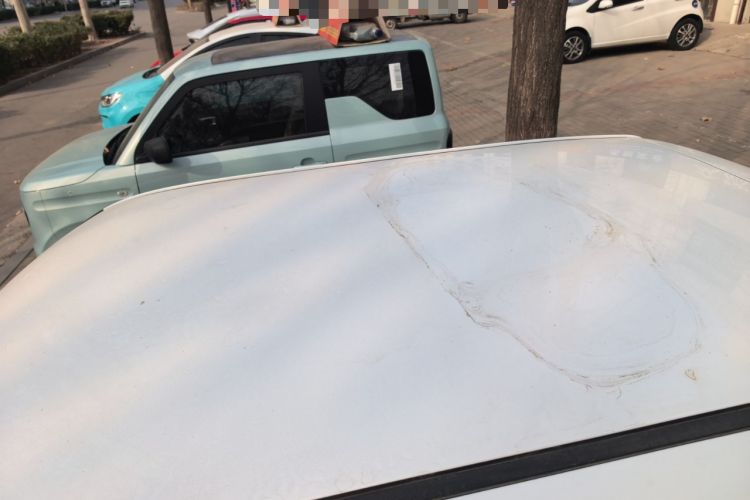 Used  Lumin 2023 205km Xiangqin Version