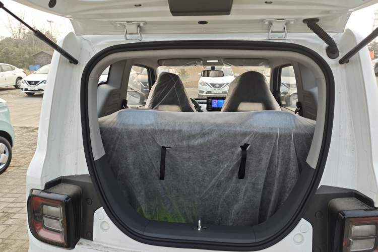 Used  Panda 2024 Panda Mini 200km Endurance Bear
