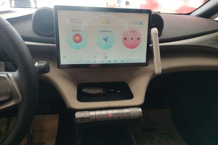 Used BYD Dolphin 2024 Honor Edition 420km Freedom Version
