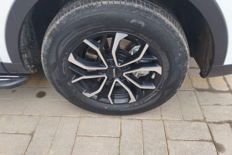 Used Haval H6 2023 National Trend Edition 1.5T Automatic Urban Version
