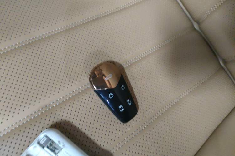 Used VOYAH Dream 2025 PHEV Four-Wheel Drive Prestige Kunpeng Edition
