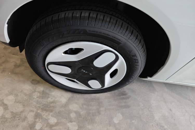 Used  Panda 2025 210 km – Yuanqi Bear
